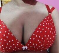 Red-Bird2
